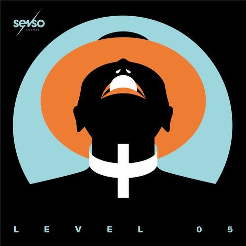 descargar álbum Various - Senso Sounds Level 05