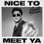 Nice To Meet Ya / Niall Horan