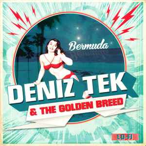 Deniz Tek And The Golden Breed - Bermuda album cover