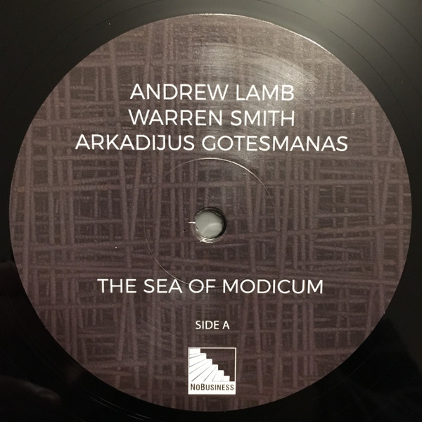 ladda ner album Andrew Lamb , Warren Smith, Arkadijus Gotesmanas - The Sea Of Modicum