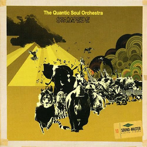 The Quantic Soul Orchestra - Stampede | Releases | Discogs