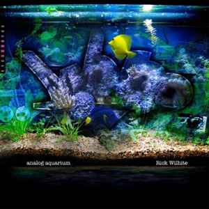 Rick Wilhite - Analog Aquarium album cover