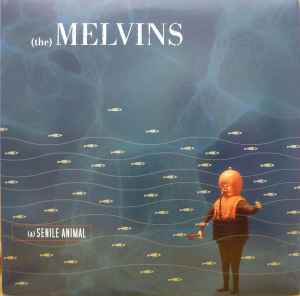 The) Melvins – (A) Senile Animal (2008, Peach, Vinyl) - Discogs