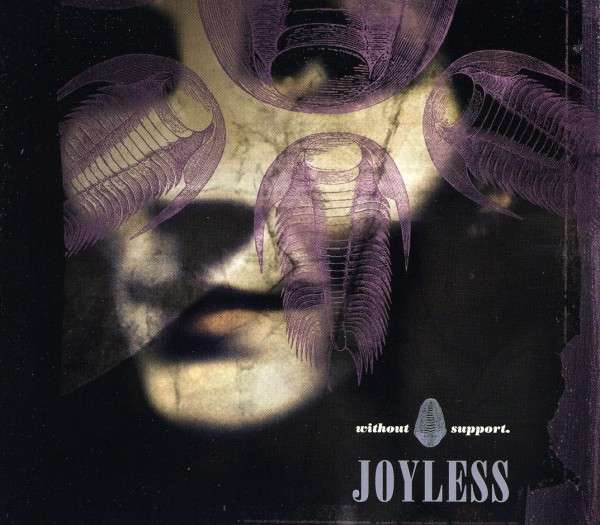 ladda ner album Joyless - Without Support