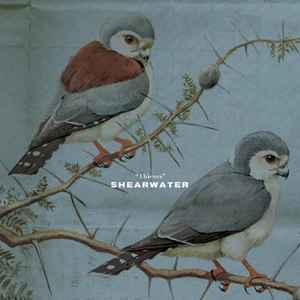 Shearwater - Thieves album cover