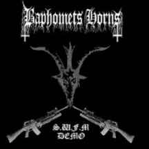 Baphomets Horns - Satanic War Fucking Metal album cover