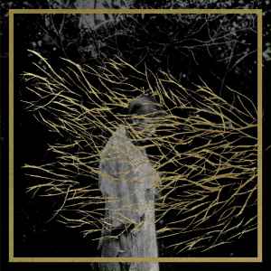 Forest Swords - Engravings album cover