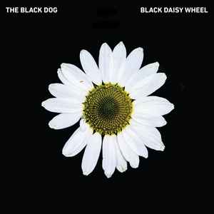 The Black Dog - Black Daisy Wheel