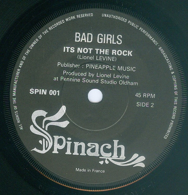 Album herunterladen Bad Girls - Teach Me To Boogie