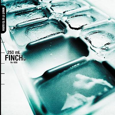 Finch - What It Is To Burn | Releases | Discogs