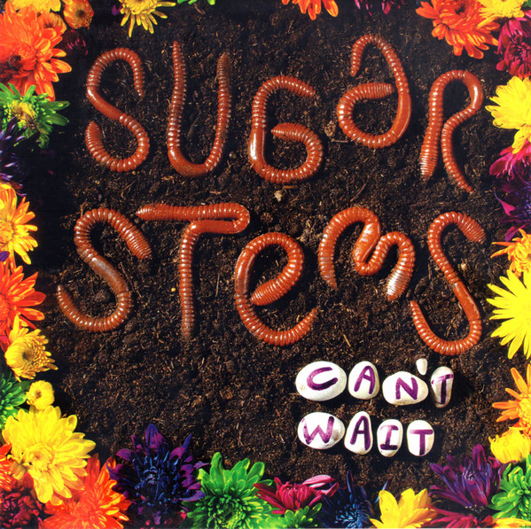 POWERPOP：SUGAR STEMS / CAN'T WAIT(国内盤,JETTY BOYS,THE FLIPS,BABY SHAKES,THE SHIVVERS,BABY SHAKES)