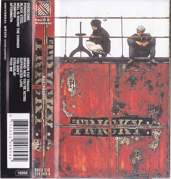 沸騰ブラドン CD TRICKY MAXINQUAYE トリッキー マキシンクエイ