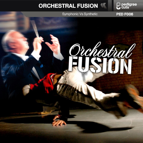 baixar álbum Alex Rizzo & Elliot Ireland - Orchestral Fusion