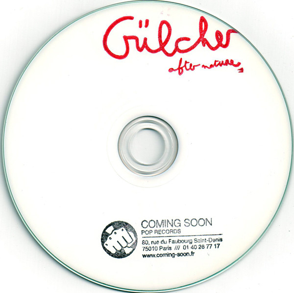 descargar álbum Gülcher - After Nature