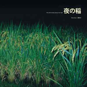 夜の稲 = Rice Field Silently Riping In The Night - 工藤礼子 = Reiko Kudo