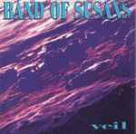 Cover of Veil, 1993, CD