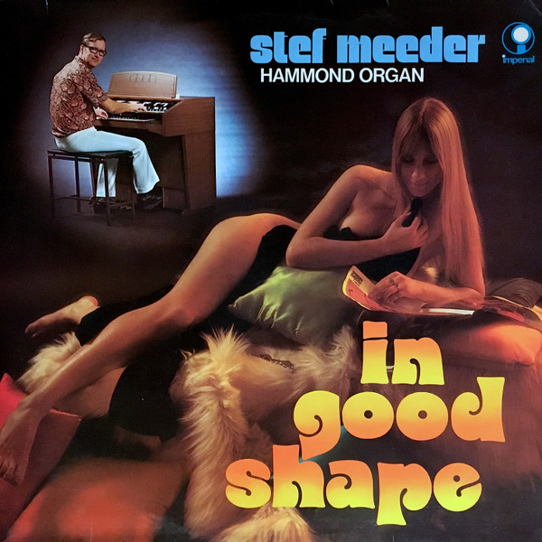 lataa albumi Stef Meeder - In Good Shape