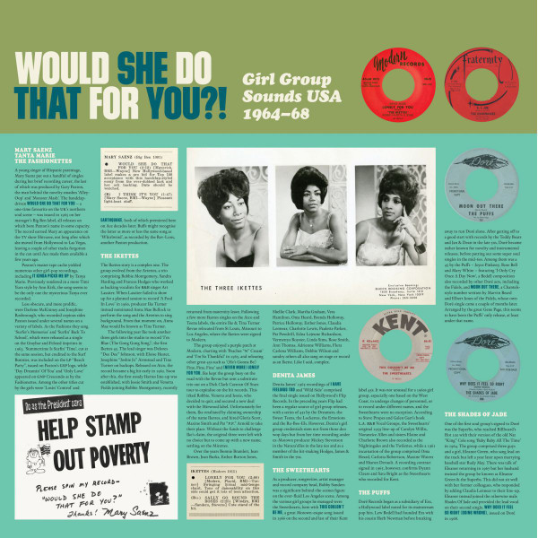 ladda ner album Various - Would She Do That For You Girl Group Sounds USA 1964 68