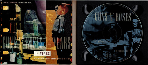 descargar álbum Guns N' Roses - 14 Years