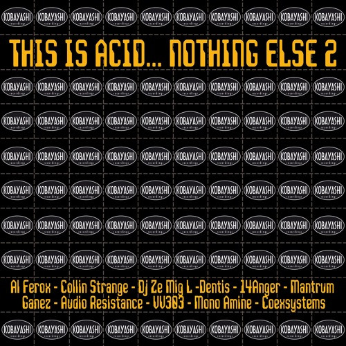 descargar álbum Various - This Is Acid Nothing Else 2