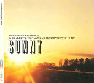 Various - A Collection Of Various Interpretations Of Sunny album cover