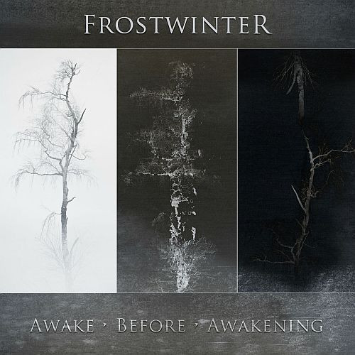 ladda ner album Download Frostwinter - Awake Before Awakening album