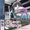 Various - Ocean Lounge Comp Vol. 2