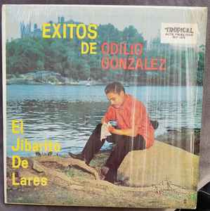 Odilio González – Exitos De Odilio Gonzalez (Vinyl) - Discogs