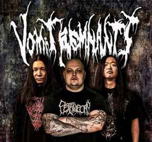 Vomit Remnants Discography | Discogs