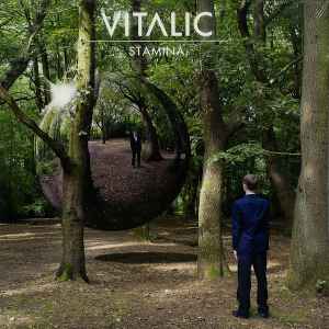 Pochette de l'album Vitalic - Stamina