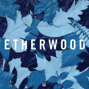 Blue Leaves - Etherwood