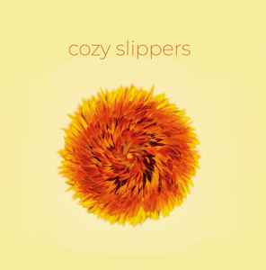 Cozy Slippers (2) - Cozy Slippers
