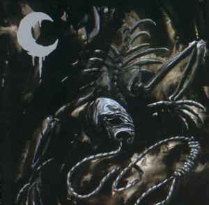 A Silhouette In Splinters - Leviathan