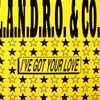 L.A.N.D.R.O. & Co. - I've Got Your Love