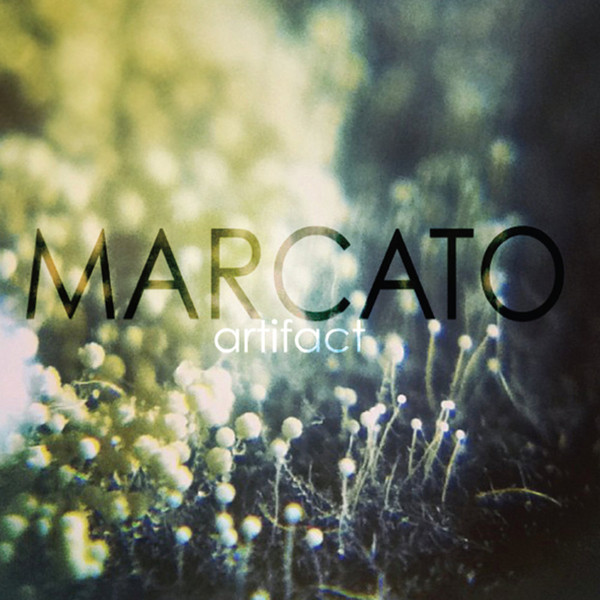 Album herunterladen Marcato - Artifact