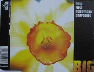 New Fast Automatic Daffodils - Big album cover