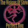 The Visions Of Shiva - Perfect Day