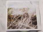 Luke Temple A Hand Through The Cellar Door 2016 CDr Discogs