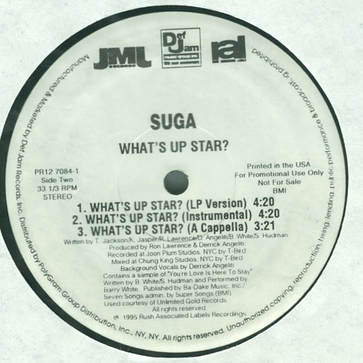 Suga – What's Up Star? (1995, Vinyl) - Discogs