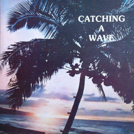 Steve & Teresa – Catching A Wave (1983, Vinyl) - Discogs