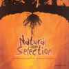 Beatmakers Local 913 and 12 Monkeys (2) - Natural Selection