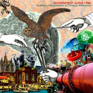 Government Alpha - Auditory Hallucination Of Drowsy Afternoon album cover