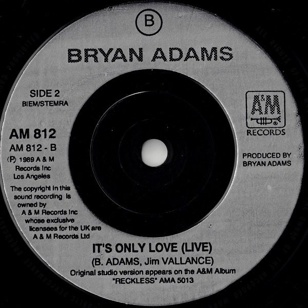 descargar álbum Bryan Adams - Cant Stop This Thing We Started