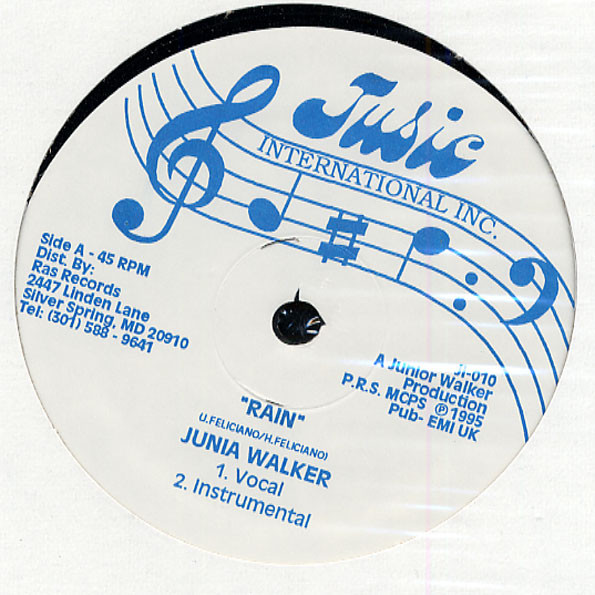 descargar álbum Junia Walker - Rain
