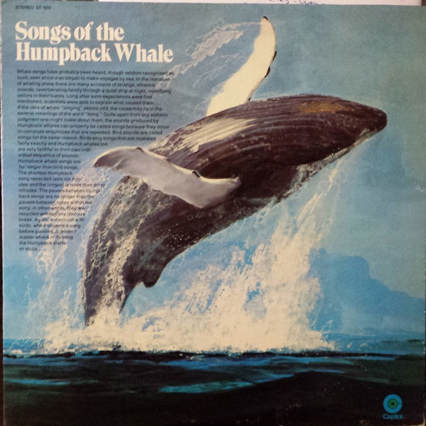 whale singing
