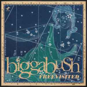 Bigga Bush - BiggaBush Freevisited album cover