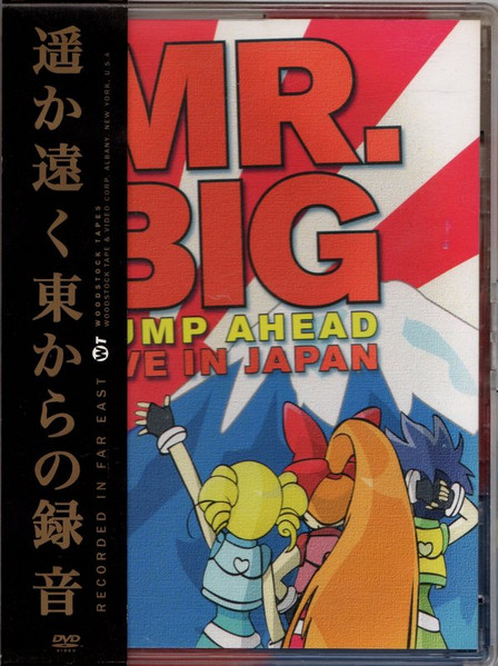 Mr. Big – Bump Aheadバンプ・アヘッドレコードLP1993年 - 洋楽