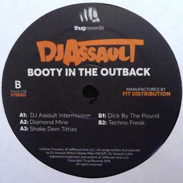 ladda ner album DJ Assault - Booty In The Outback