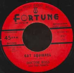 Doctor Ross - Cat Squirrel / The Sunnyland