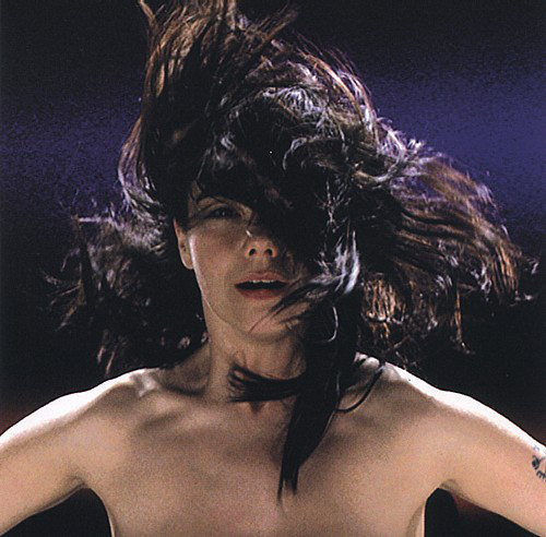 Album herunterladen Björk - A Song From Vespertine Hidden Place